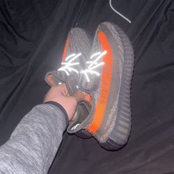 Yeezy Carbon Beluga