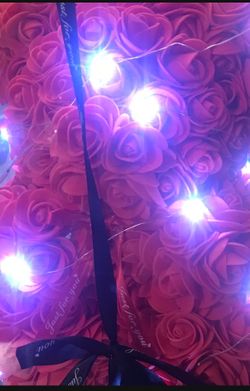 Rose Bears 9,12,15” And gift Boxes