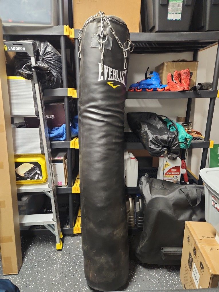 Everlast Punching Bag 