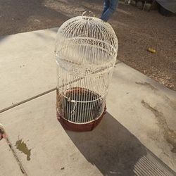 Bird Cage