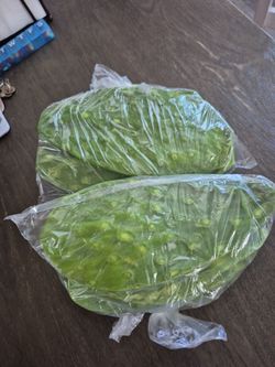 Nopales orgánicos  2 libras por 5 dolares en hesperia