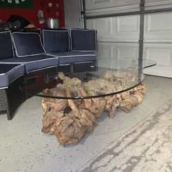 Glass Driftwood Coffee Table