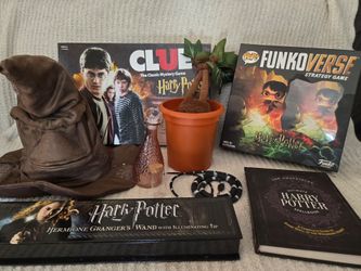 Harry Potter Wizarding Package