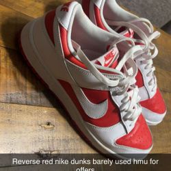 Red Nike Dunks Size 12