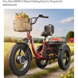 Electric Tricycle 