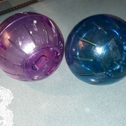 Hamster Ball