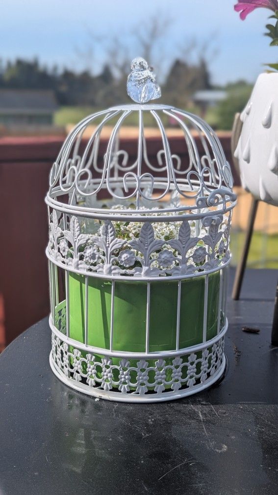 Bird Gage Decor With a Flower