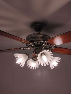 Ceiling fans