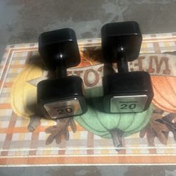 Reebok 20 Pounds Dumbbells 