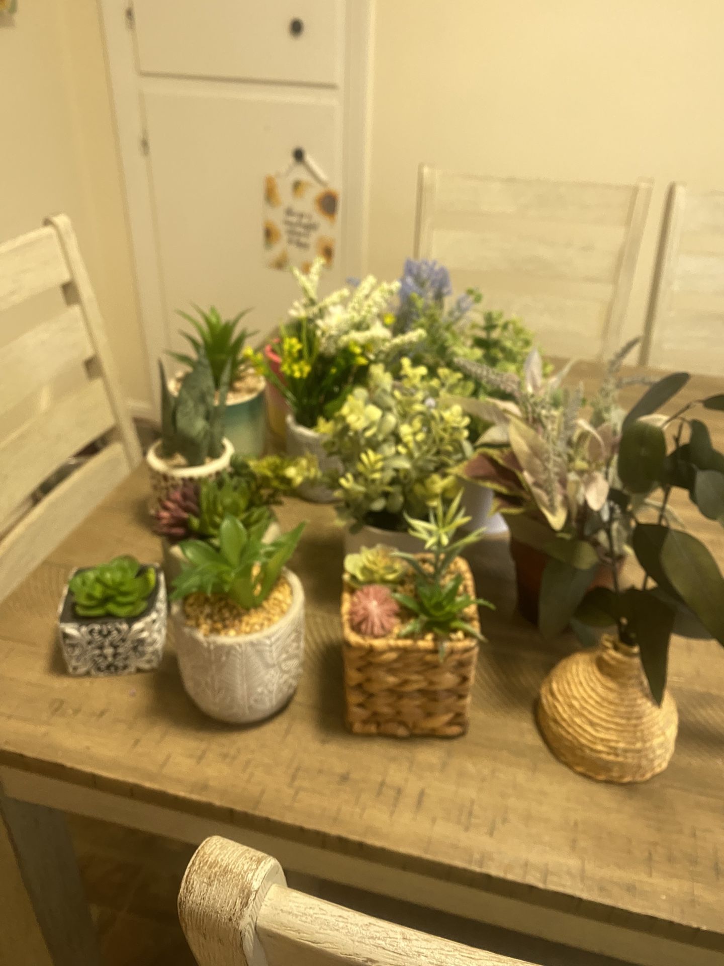 16 Artificial succulents