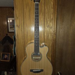 Ibanez AEB105E Acoustic-Electric bass
