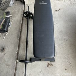 Workout Bench 
