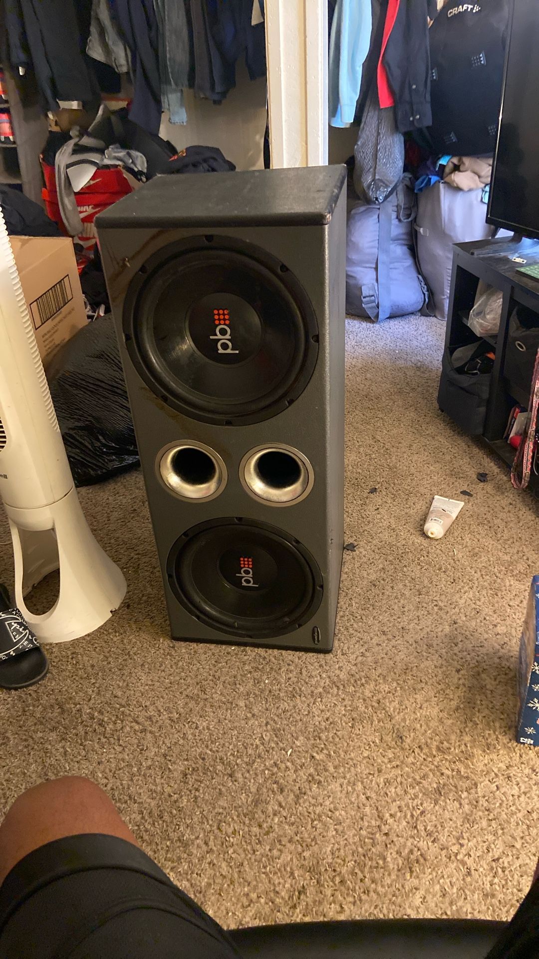 2 - 12 Inch Subwoofers ( 2 12s) And A 3500w Amp
