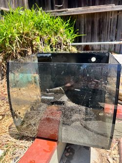 Fluval flex fish tank
