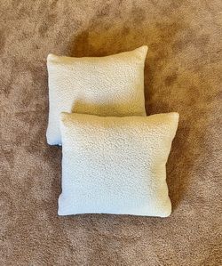 Two (2) 22” x 22” Decorative Pillows (With Feather & Down 24” x 24” Inserts For Fluffyness.)