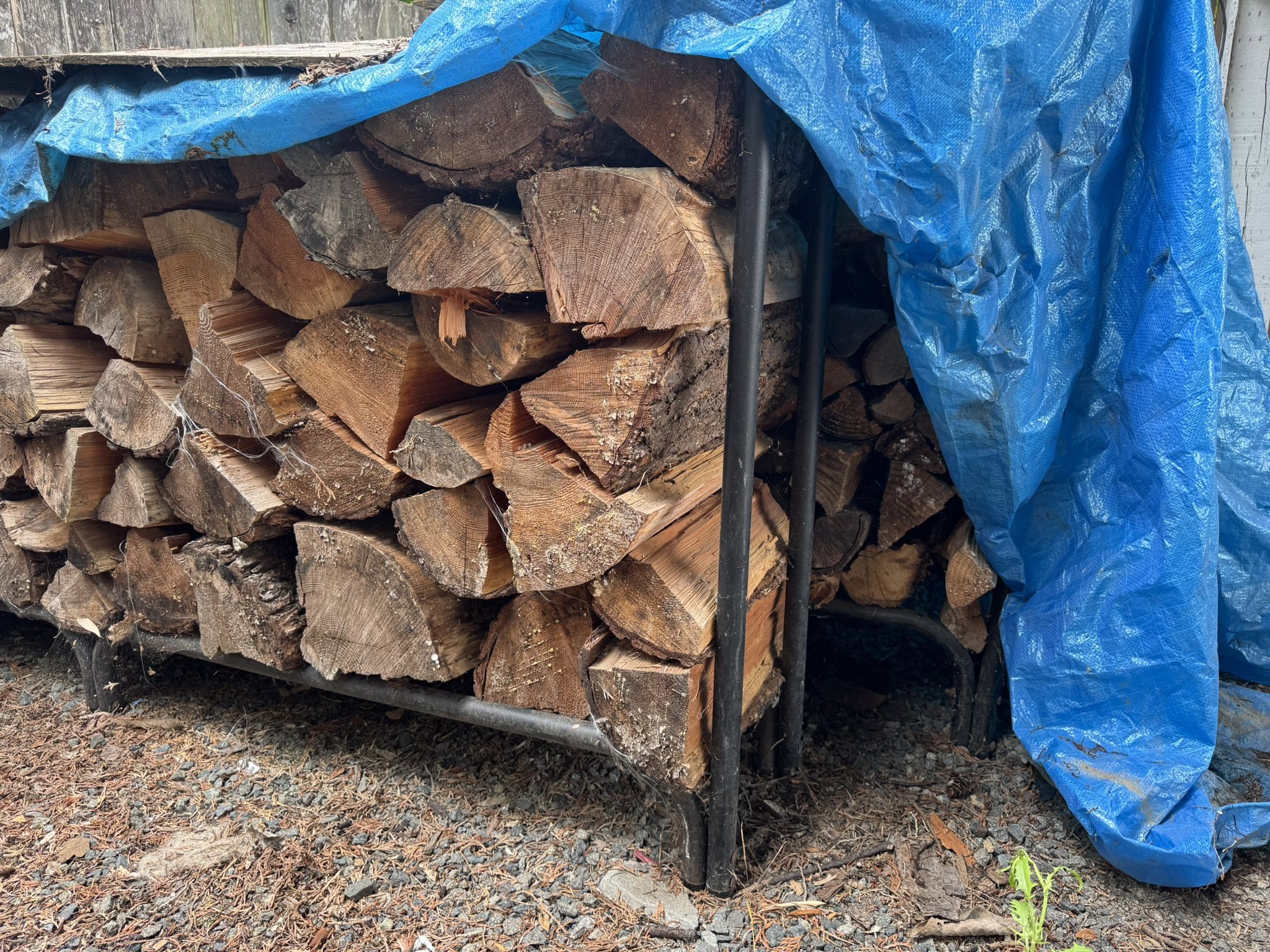 Firewood-$0