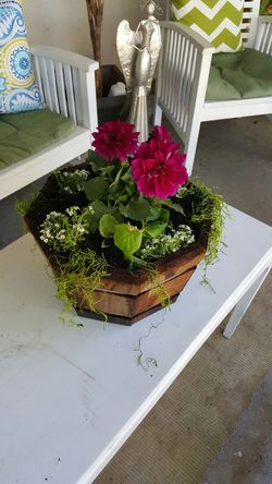Pretty flowers