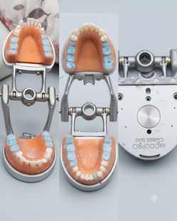 Modupro Carrier Tray Dental Articulator Model