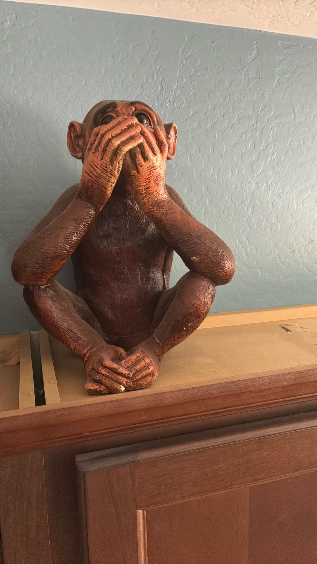 Hear No evil See No evil Speak No Evil Monkeys