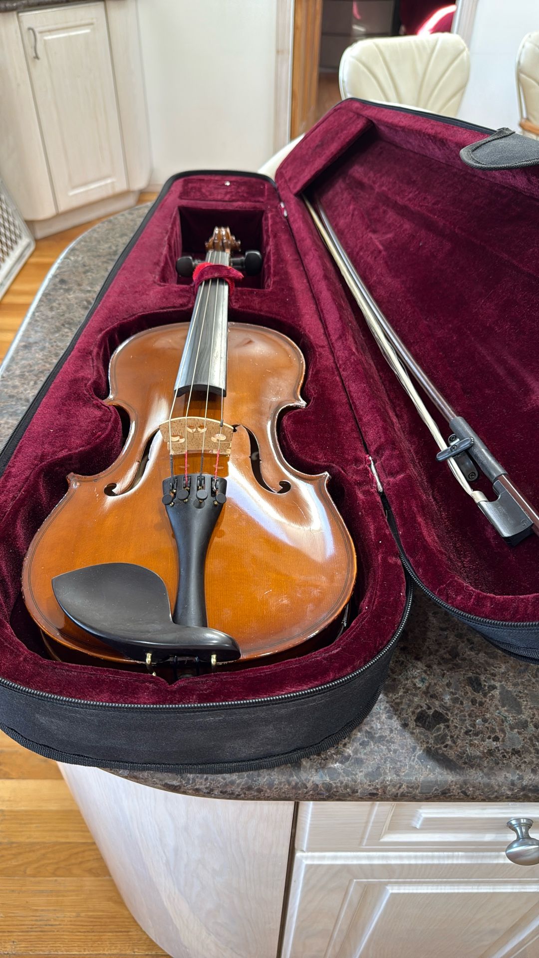 Viola 15” with case and bow