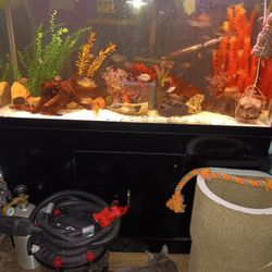 Aquarium Tank N Wooden Laquer Stand 