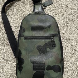 Coach Limited Edition Came Crossbody Bag