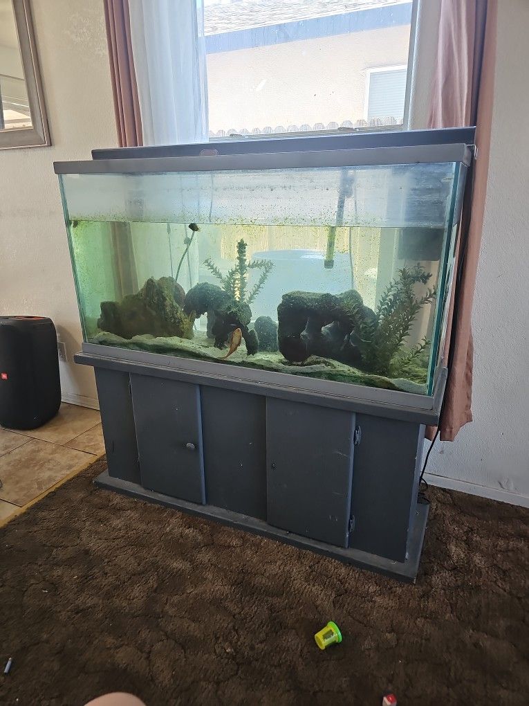 Fish Tank And Stand