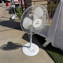 Fan