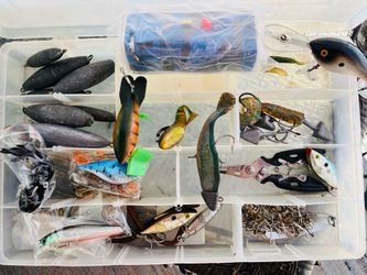 Tackle Trays Filled
