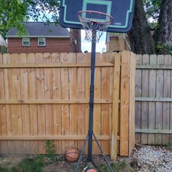 Free Basketball Hoop   Pick Up In Cincinnati Rose lawn Area