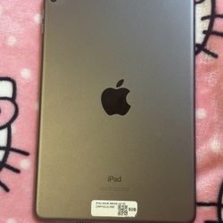iPad Mini 5th Gen Wifi only 256GB
