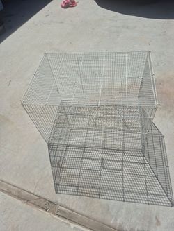 Animal trap cage