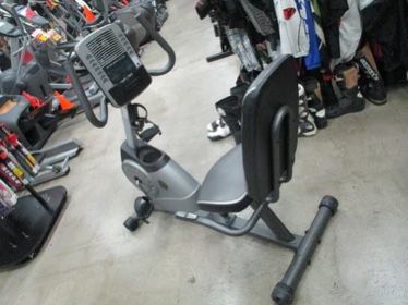gold gym power spin 290