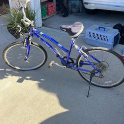 Eddie Bauer 7 Speed Bike