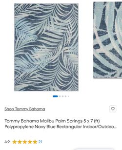 Malibu Palm spring 5x7 indoor outdoor rug NEW in package