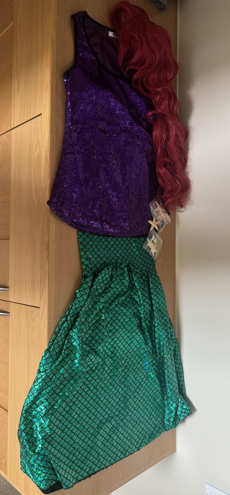 Little Mermaid Costume
