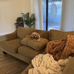 Large L Couch (puppy not Included :) 