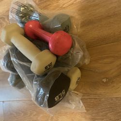 Hand Weights 
