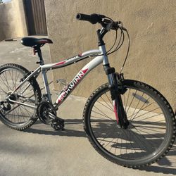 Schwinn Bike 24”