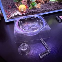 Shrimp tank feeding dish