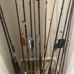 Spinning Rods And Casting Rods