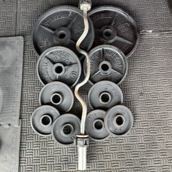 Olympic curl bar with 180lbs of Olympic weights