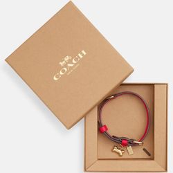Coach Dog Collar (Small Size)