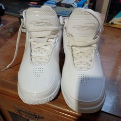 Nike LeBrons Brand New 9.5