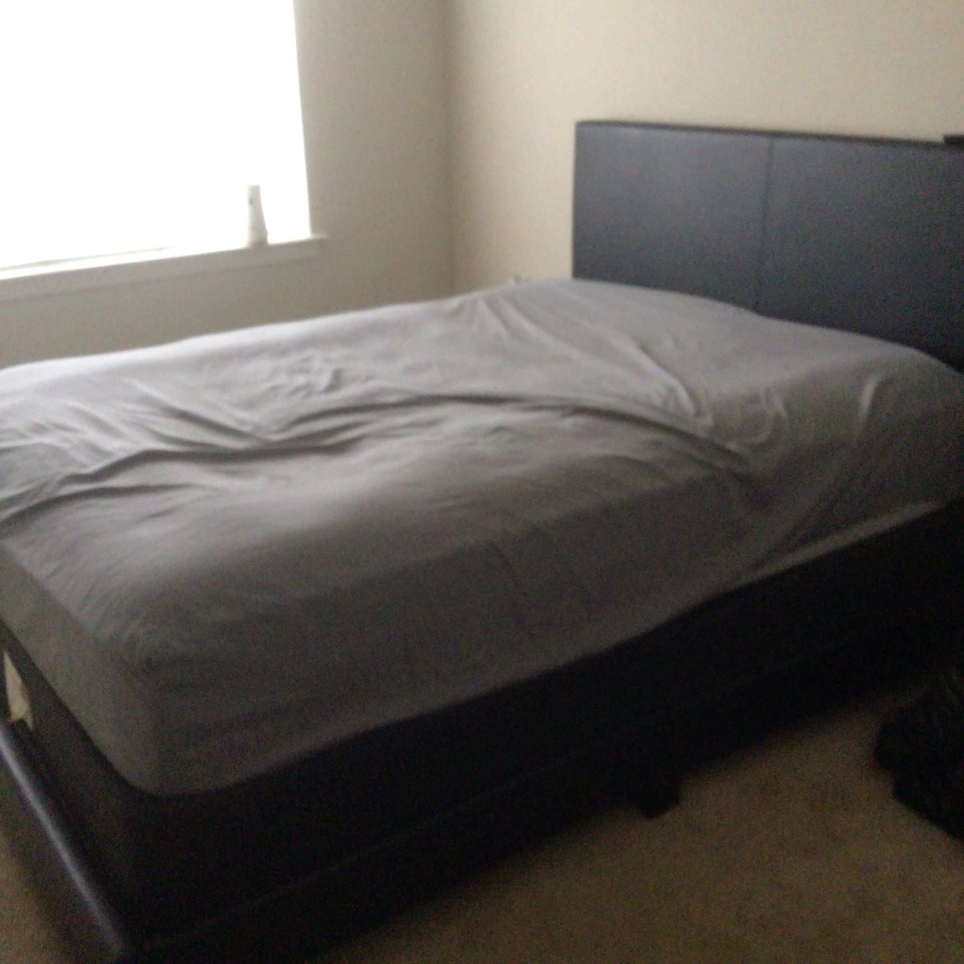 Queen Bed