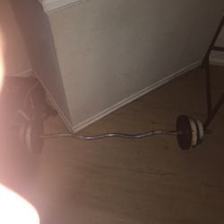 Curl Bar Weights 