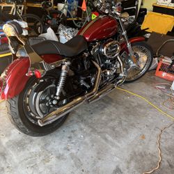 2007 Harley Davidson 1200 custom Sportster