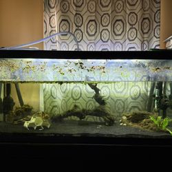 75 Gal Aquarium & Stand