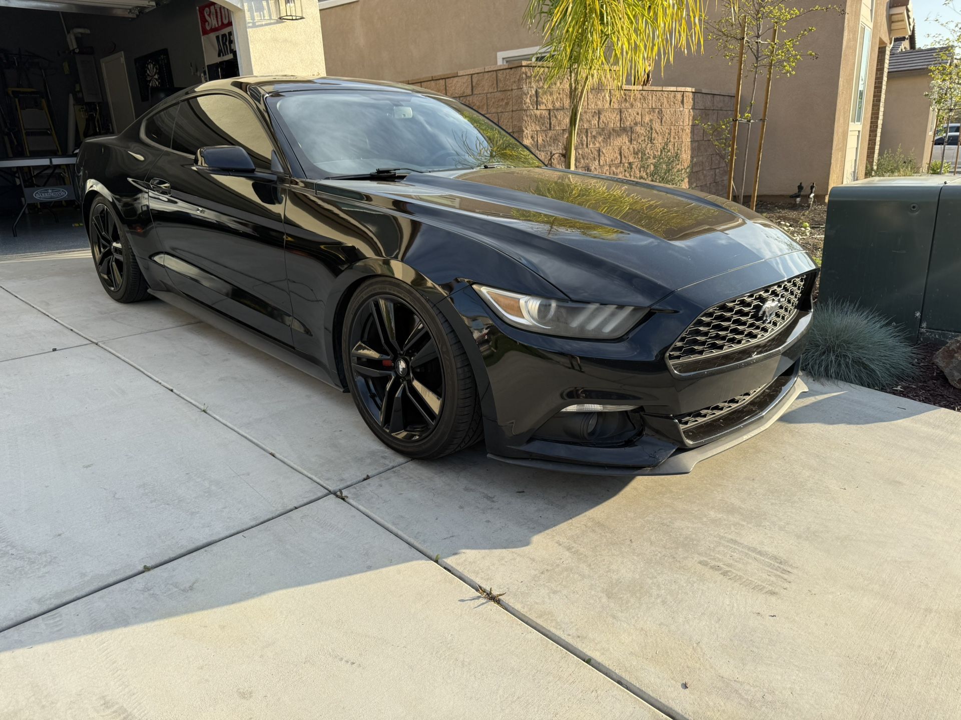 Mustang Ecoboost Premium