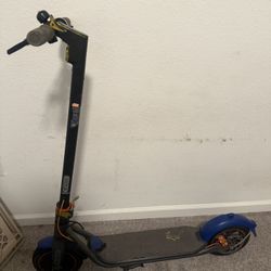 Electric Scooter 